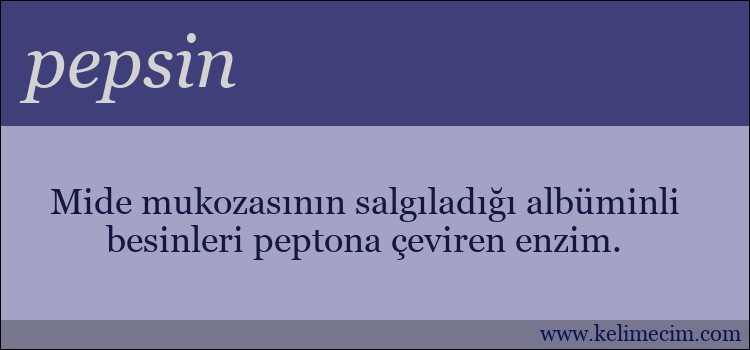 pepsin kelimesinin anlamı ne demek?