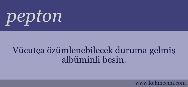 pepton kelimesinin anlamı ne demek?