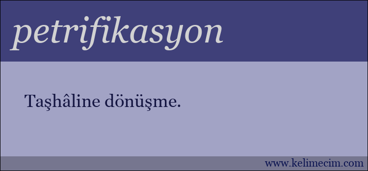 petrifikasyon kelimesinin anlamı ne demek?