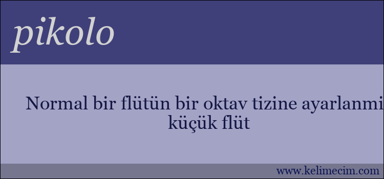 pikolo kelimesinin anlamı ne demek?