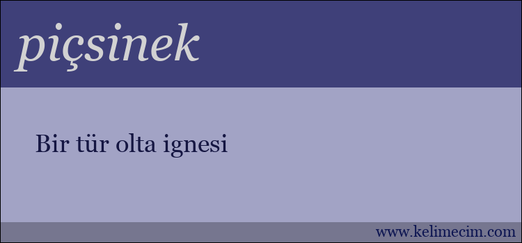 piçsinek kelimesinin anlamı ne demek?