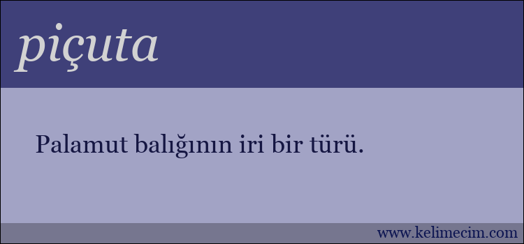 piçuta kelimesinin anlamı ne demek?