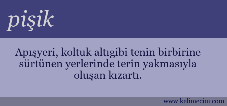 pişik kelimesinin anlamı ne demek?