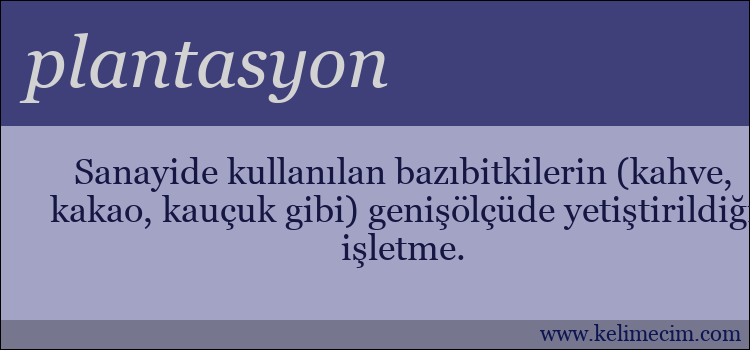 plantasyon kelimesinin anlamı ne demek?