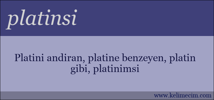 platinsi kelimesinin anlamı ne demek?