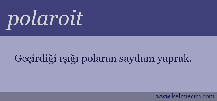 polaroit kelimesinin anlamı ne demek?