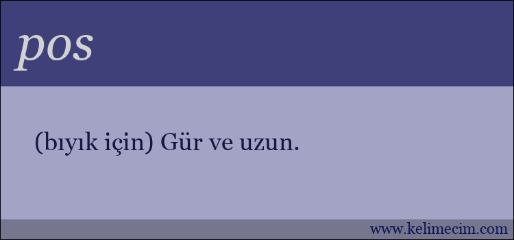 pos kelimesinin anlamı ne demek?