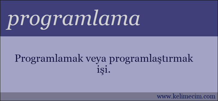 programlama kelimesinin anlamı ne demek?