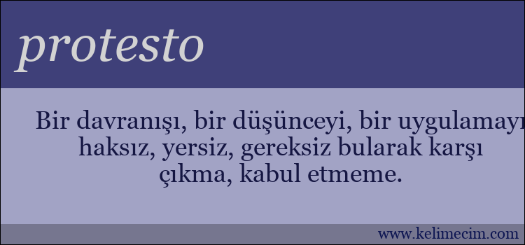 protesto kelimesinin anlamı ne demek?