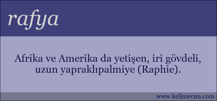 rafya kelimesinin anlamı ne demek?