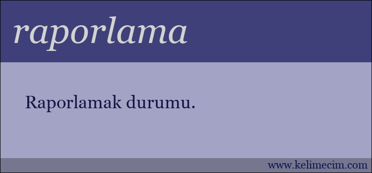 raporlama kelimesinin anlamı ne demek?