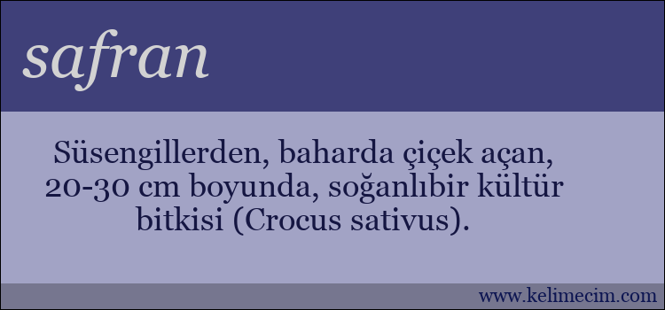 safran kelimesinin anlamı ne demek?