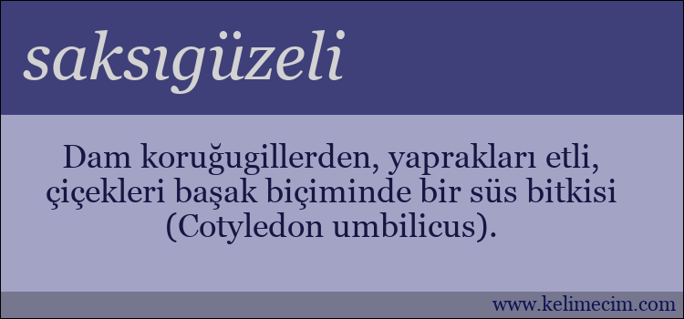 saksıgüzeli kelimesinin anlamı ne demek?