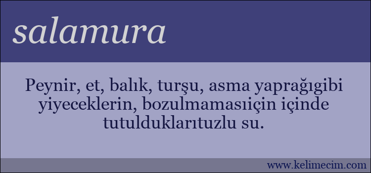 salamura kelimesinin anlamı ne demek?