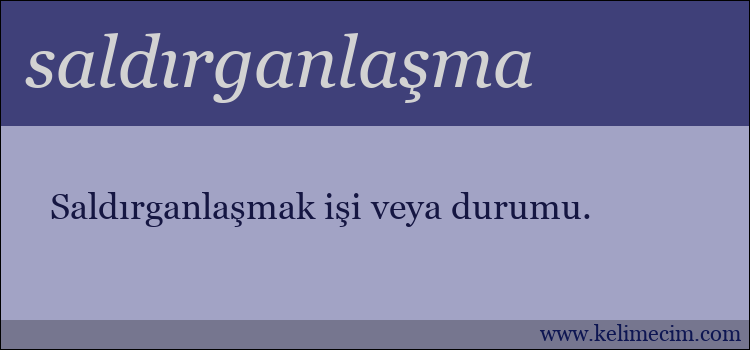 saldırganlaşma kelimesinin anlamı ne demek?