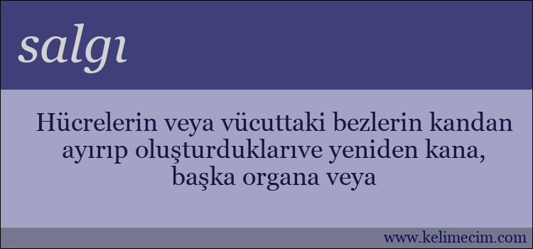 salgı kelimesinin anlamı ne demek?