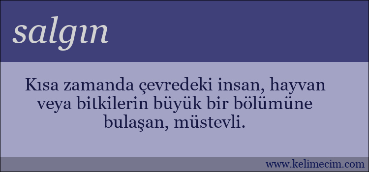 salgın kelimesinin anlamı ne demek?