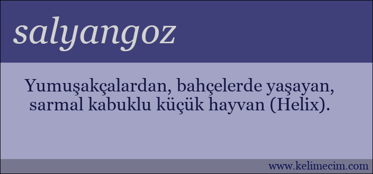 salyangoz kelimesinin anlamı ne demek?