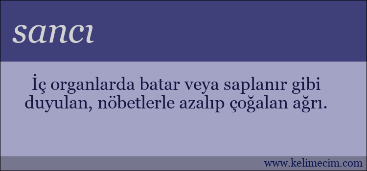 sancı kelimesinin anlamı ne demek?