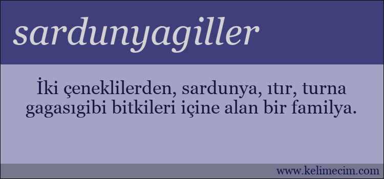 sardunyagiller kelimesinin anlamı ne demek?