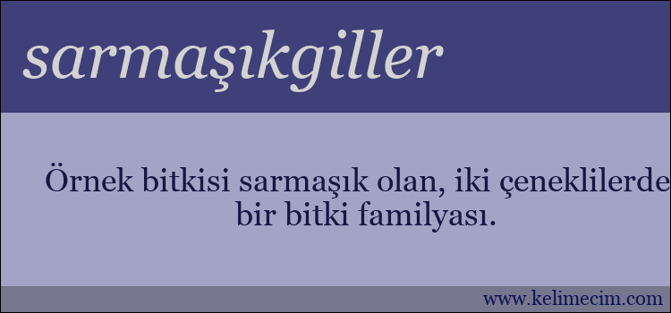 sarmaşıkgiller kelimesinin anlamı ne demek?