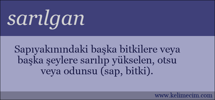 sarılgan kelimesinin anlamı ne demek?