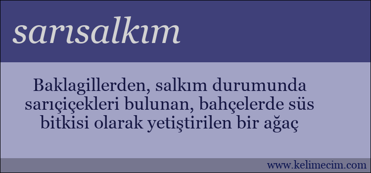 sarısalkım kelimesinin anlamı ne demek?