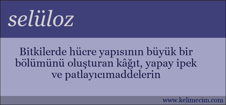 selüloz kelimesinin anlamı ne demek?