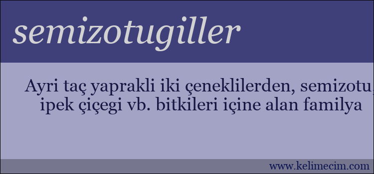 semizotugiller kelimesinin anlamı ne demek?