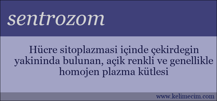 sentrozom kelimesinin anlamı ne demek?