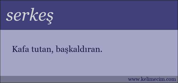 serkeş kelimesinin anlamı ne demek?