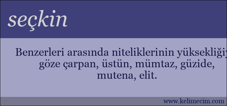 seçkin kelimesinin anlamı ne demek?