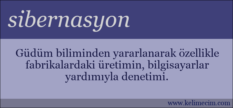 sibernasyon kelimesinin anlamı ne demek?