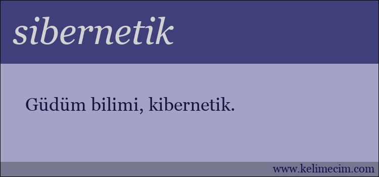 sibernetik kelimesinin anlamı ne demek?