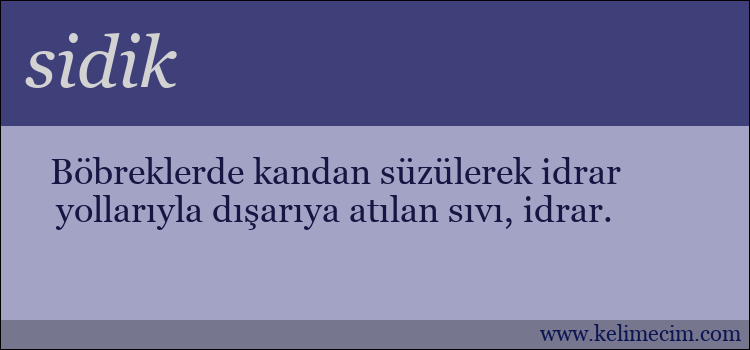 sidik kelimesinin anlamı ne demek?