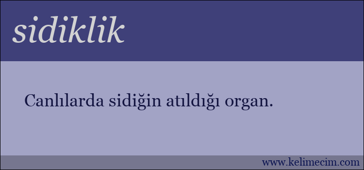 sidiklik kelimesinin anlamı ne demek?