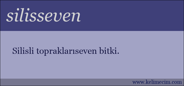 silisseven kelimesinin anlamı ne demek?