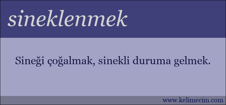 sineklenmek kelimesinin anlamı ne demek?