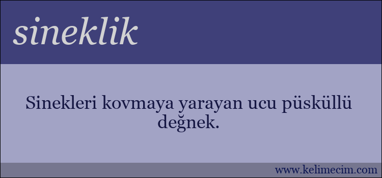 sineklik kelimesinin anlamı ne demek?