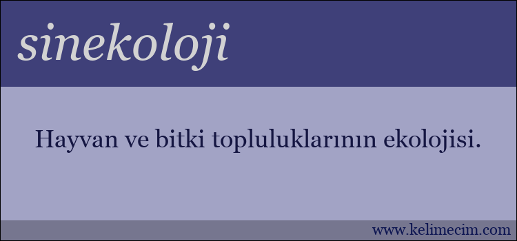 sinekoloji kelimesinin anlamı ne demek?