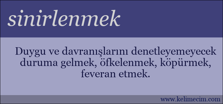 sinirlenmek kelimesinin anlamı ne demek?