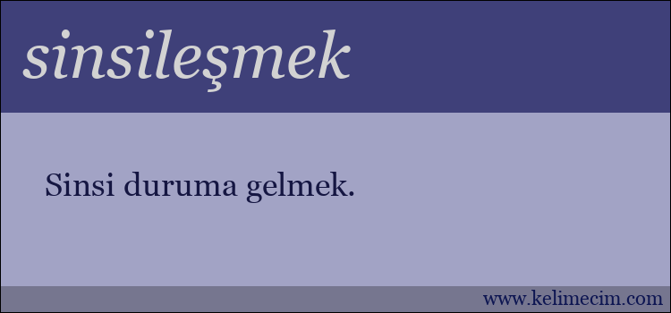 sinsileşmek kelimesinin anlamı ne demek?