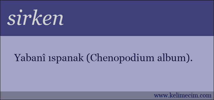 sirken kelimesinin anlamı ne demek?