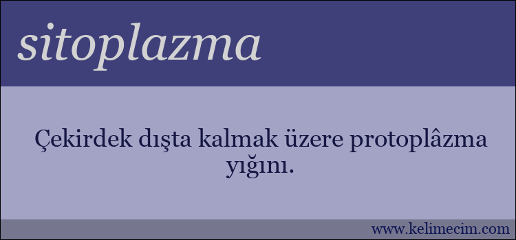 sitoplazma kelimesinin anlamı ne demek?