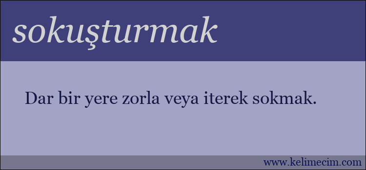 sokuşturmak kelimesinin anlamı ne demek?