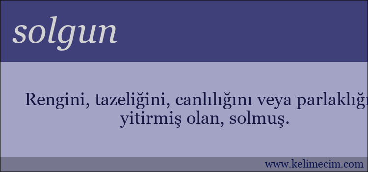 solgun kelimesinin anlamı ne demek?