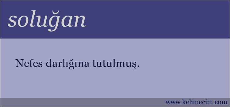 soluğan kelimesinin anlamı ne demek?