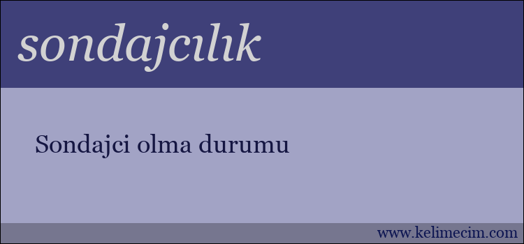 sondajcılık kelimesinin anlamı ne demek?