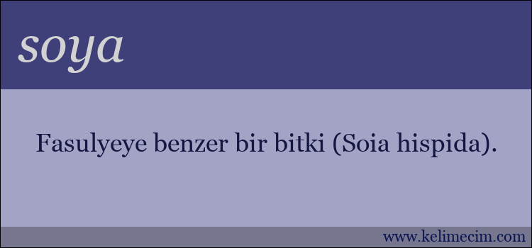 soya kelimesinin anlamı ne demek?