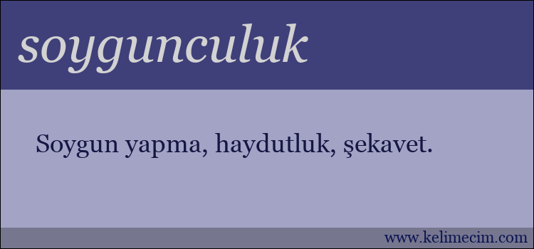 soygunculuk kelimesinin anlamı ne demek?